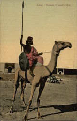 Aden - Somali Camel Rider Postcard