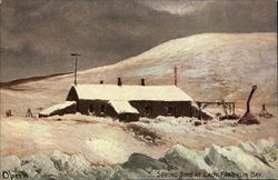Springtime at Lady Franklin Bay Postcard