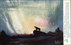 The Aurora Sky Postcard