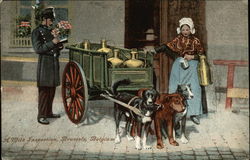 A Milk Inspection, Brussels, Belgium Postcard