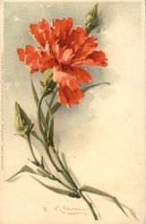 Large Red Flower Large Red Flower
