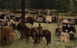 The Aiken Horse Show in Aiken, South Carolina Postcard