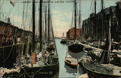 T Wharf - Largest Fish Market in United States Postcard