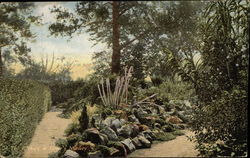 Henry A. Dreer, Seeds, Plants, Bulbs Postcard