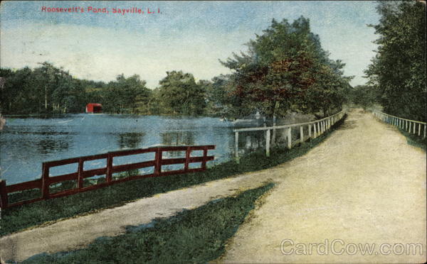 Roosevelt's Pond, Long Island Sayville New York