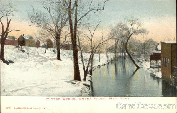 Winter Scene, Bronx River New York