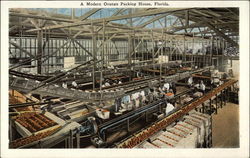 A modern orange packing house Postcard