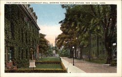 Yale Campus from Connecticut Hall, Showing Nathan Hall Statues New Haven, CT Postcard Postcard