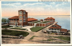 Fish Hatchery and Water Works Postcard