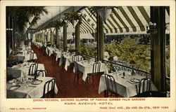 Park Avenue Hotel - Dining Veranda and Sunken Palm Gardens Postcard