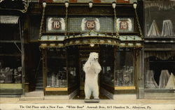 White Bear Allentown, PA Postcard Postcard