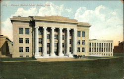 Harvard Medical School Postcard