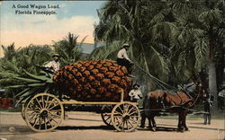 A good wagon load, Florida Pineapple Exaggeration Postcard Postcard