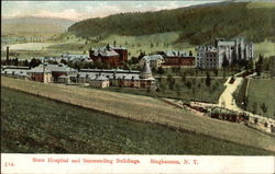 State Hospital and Surrounding Buildings Binghamton, NY Postcard Postcard