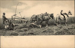 The Reapers Postcard