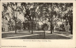 Harvard Yard, Harvard College Postcard