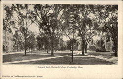 Harvard Yard, Harvard College Cambridge, MA Postcard Postcard