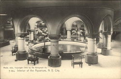 Interior of the Aquarium Postcard