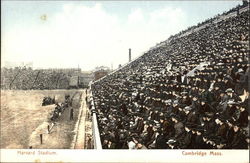 Harvard Stadium Cambridge, MA Postcard Postcard