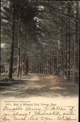 Walk in Wildwood Park Postcard