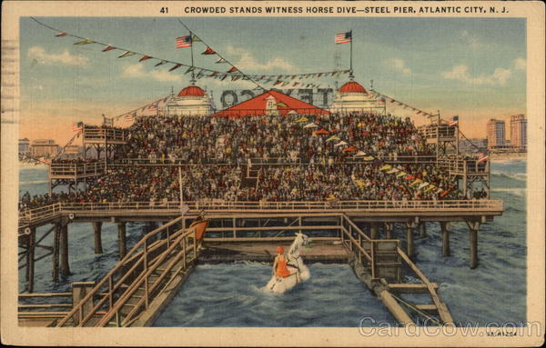 Crowded Stands Witness Horse Dive - Steel Pier Atlantic City New Jersey