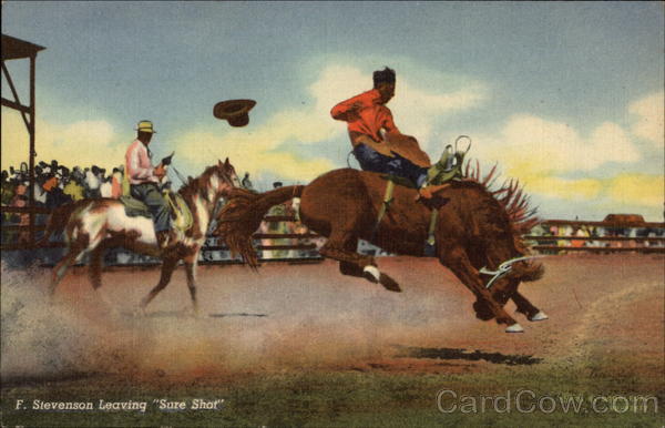 F. Stevenson Leaving Sure Shot Rodeos