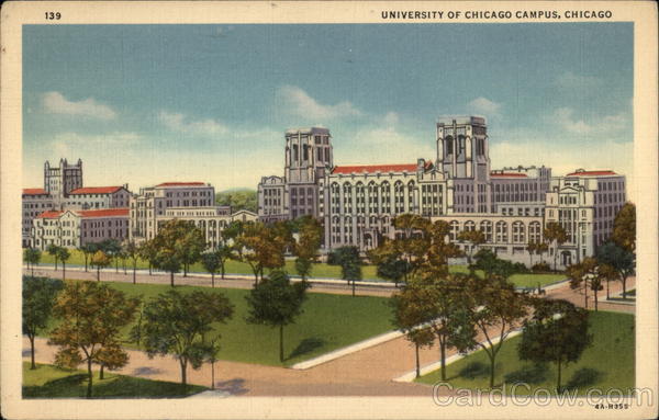 University of Chicago Campus Illinois
