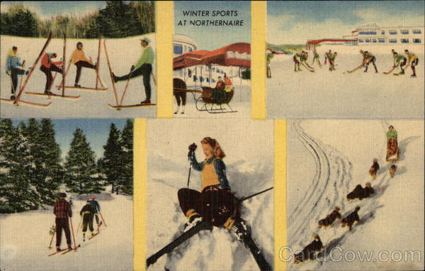 Northernaire Hotel and Spa Three Lakes Wisconsin