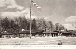 Lodge and Restaurant, Illinois White Pines Forest State Park Postcard