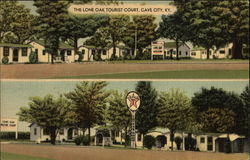 The Lone Oak Tourist Court, Cave City, KY Kentucky Postcard Postcard