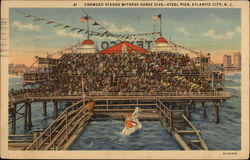Crowded Stands Witness Horse Dive - Steel Pier Postcard