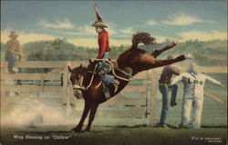 Wag Blessing on Outlaw Wag Blessing on Outlaw
