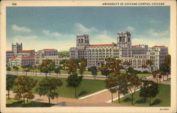 University of Chicago Campus Illinois Postcard Postcard