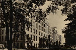 The University Museum at Harvard University Postcard