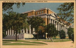 View of Widener Library from Harvard Campus Postcard