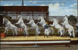 Mounted Patrol White Horses Sioux City, IA Postcard Postcard