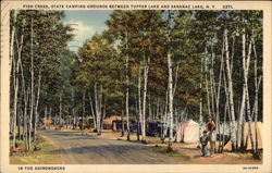 In the Adirondacks Postcard