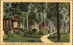 DeLuxe Cottages in the Aspens at the Grand Canyon Lodge Postcard