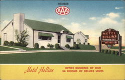 Motel Hollins Virginia Postcard Postcard