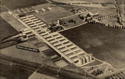 Airplane View of Walker-Gordon Plant Postcard