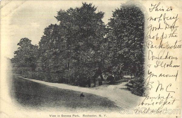 View In Seneca Park Rochester New York