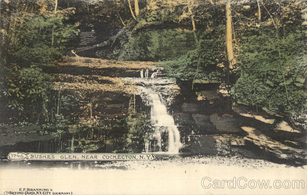 Bushes Glen Cochecton New York