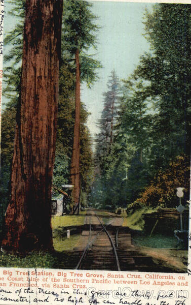 Big Tree Station Big Trees California