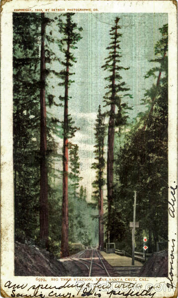 Big Tree Station Santa Cruz California