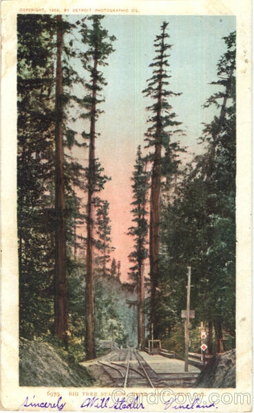 Big Tree Station Santa Cruz California