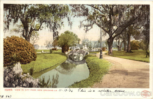 View In City Park New Orleans Louisiana