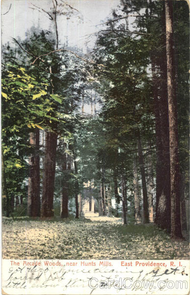 The Arcade Woods, Near Hunts Mills East Providence Rhode Island