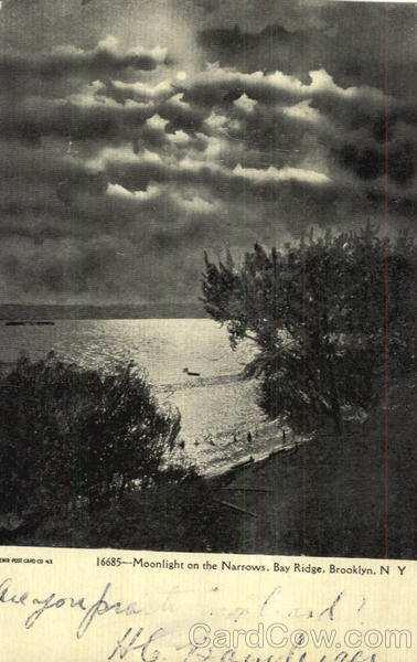 Moonlight On The Narrows, Bay Ridge Brooklyn New York