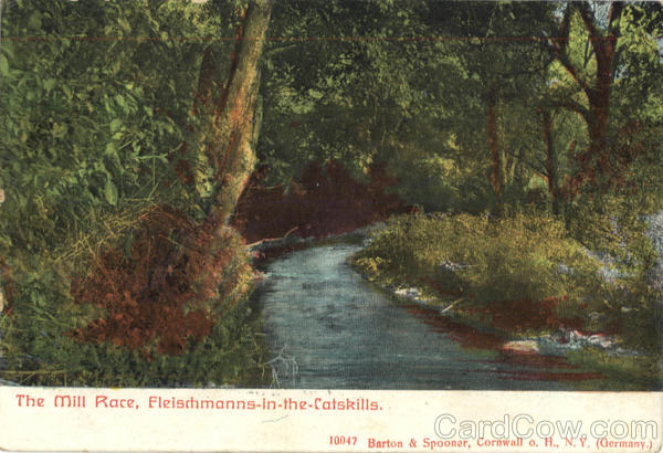 The Mill Race Catskills New York