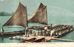 Gill Netting Salmon Fisheries Of The Northwest Postcard